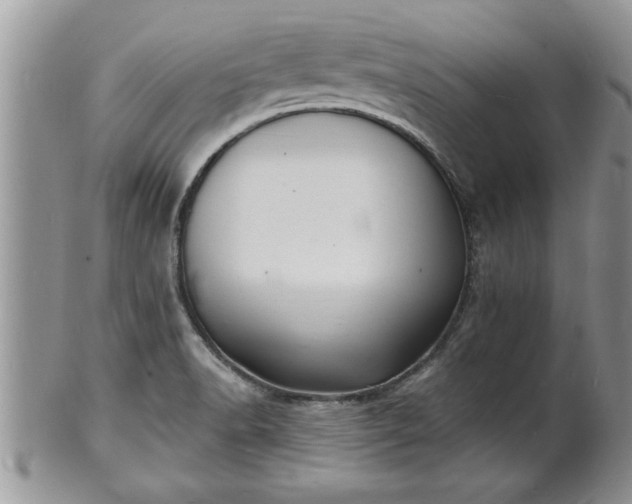 X0000102221518200808011150