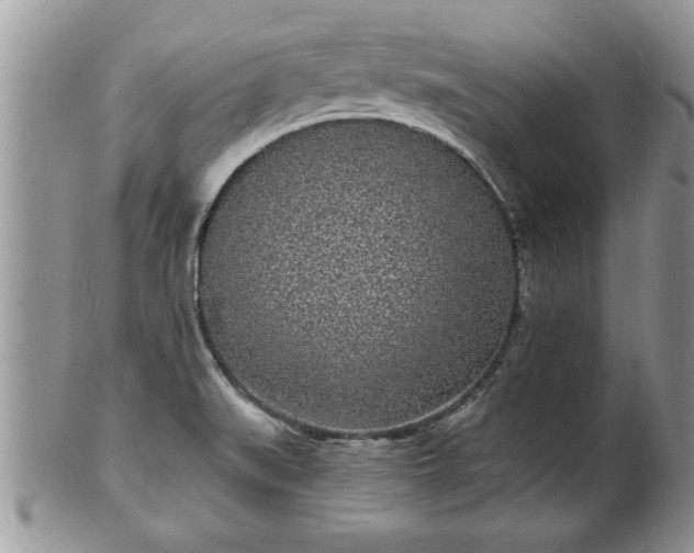 X0000102221519200808011150