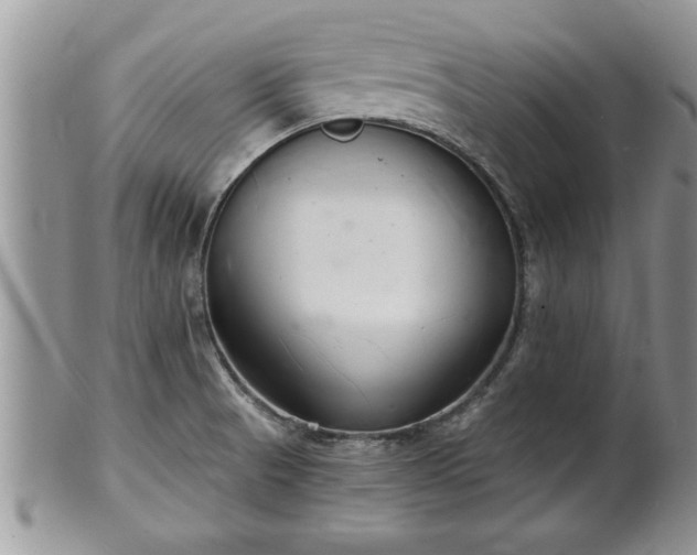 X0000102221521200808011150