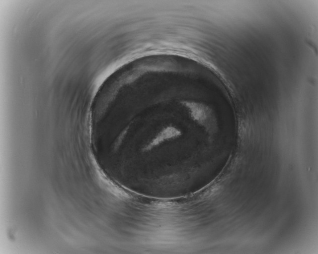 X0000102221522200808011150