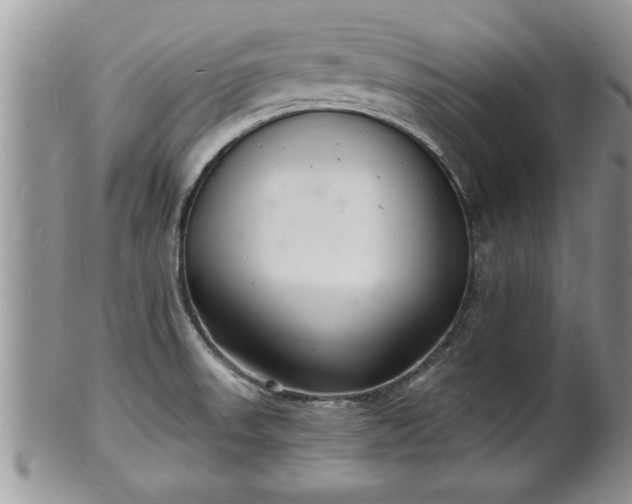 X0000102221523200808011150