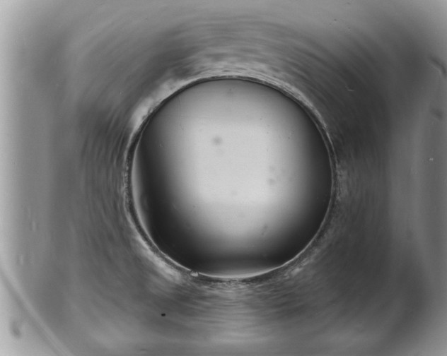 X0000102221525200808011150