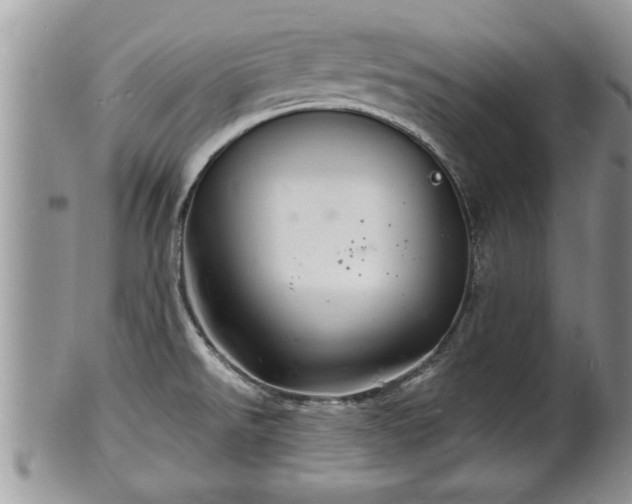 X0000102221526200808011150