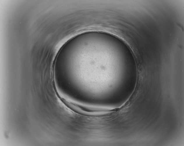 X0000102221527200808011150