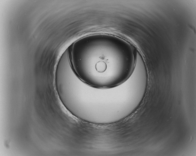 X0000102221528200808011150