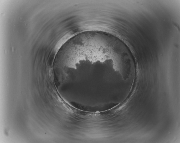 X0000102221529200808011150