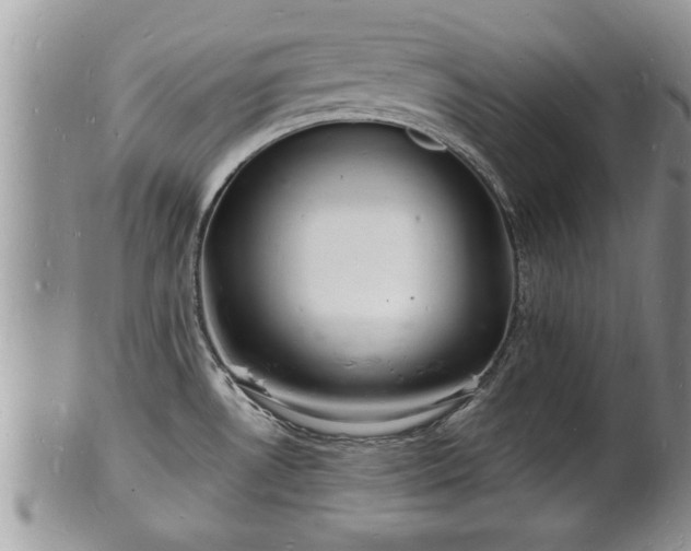 X0000102221530200808011150