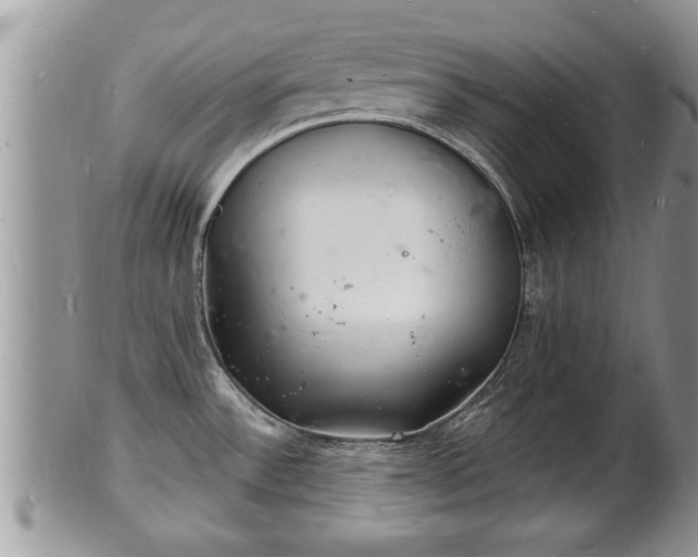 X0000102221532200808011150