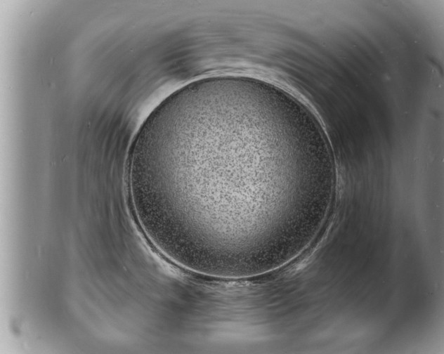 X0000102221533200808011150