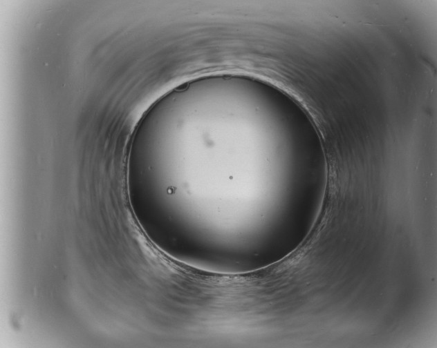 X0000102221534200808011150