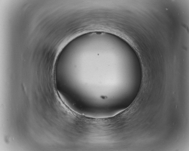 X0000102221536200808011150