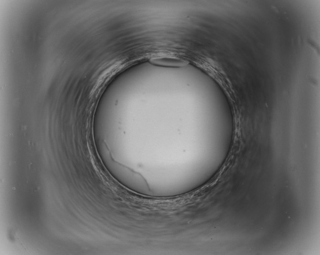 X0000102220001200808081327