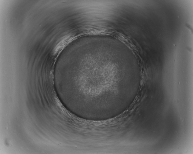 X0000102220002200808081327