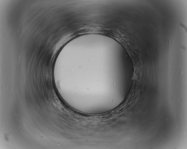 X0000102220004200808081327