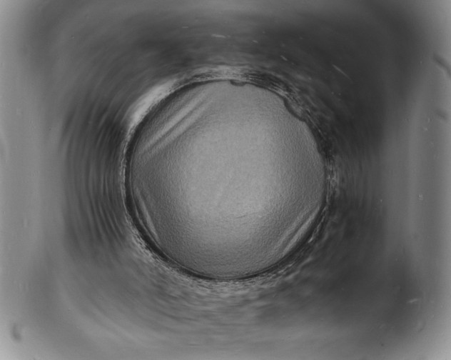 X0000102220006200808081327