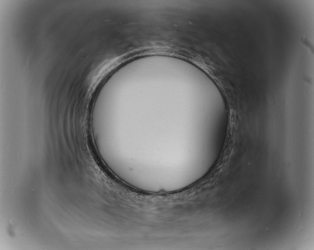 X0000102220007200808081327