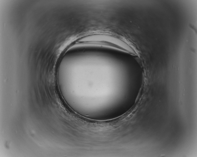 X0000102220008200808081326