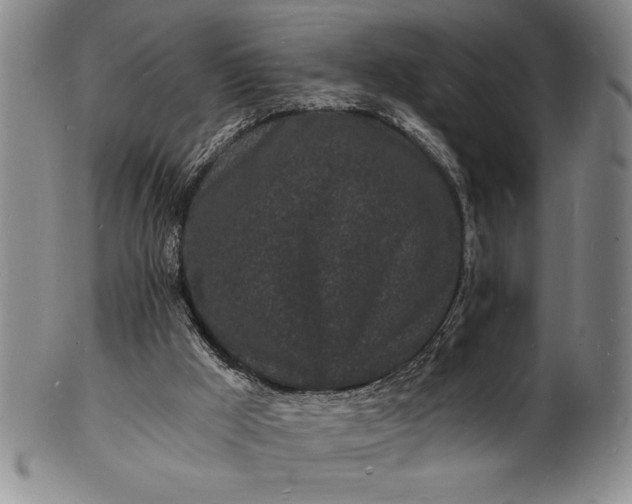 X0000102220009200808081326