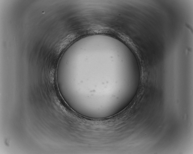 X0000102220010200808081326