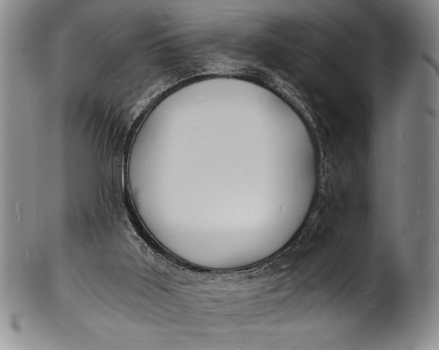 X0000102220011200808081326