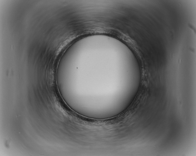 X0000102220012200808081326