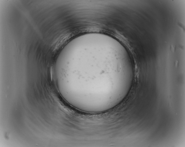 X0000102220013200808081326