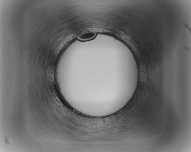 X0000102220015200808081326