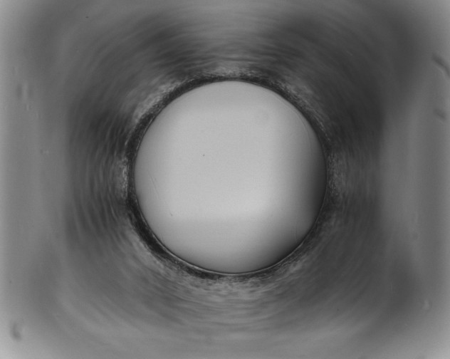 X0000102220016200808081326