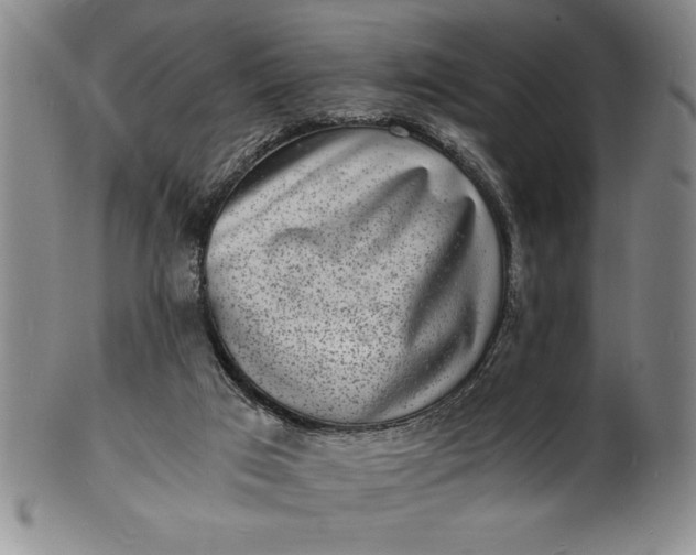 X0000102220017200808081326