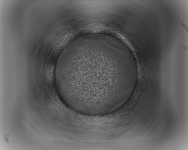 X0000102220018200808081326