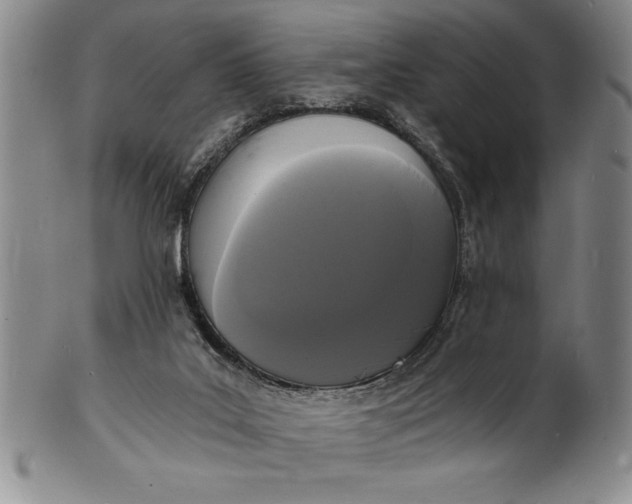 X0000102220019200808081326