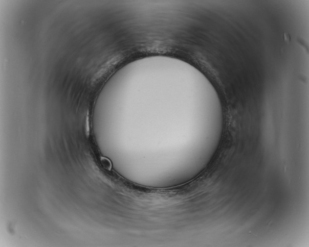 X0000102220020200808081326