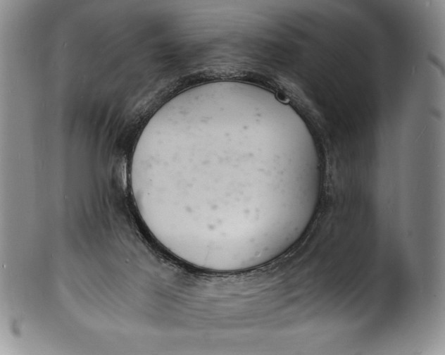 X0000102220021200808081326