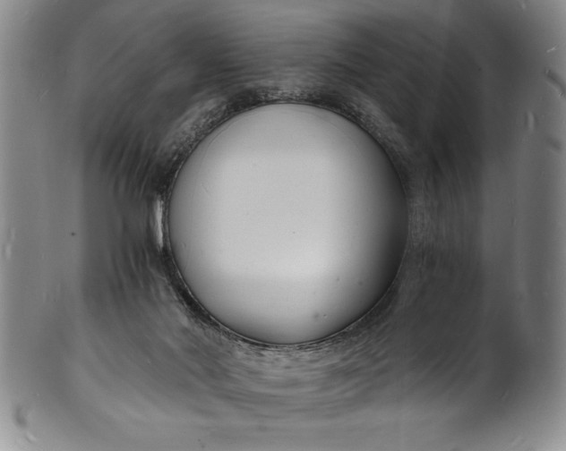 X0000102220022200808081326