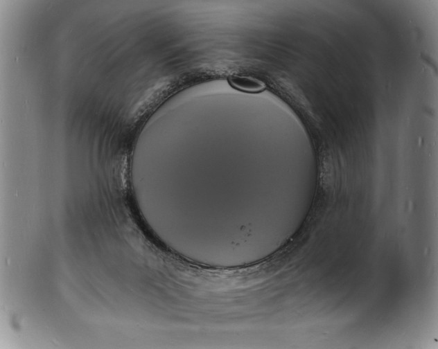 X0000102220023200808081326