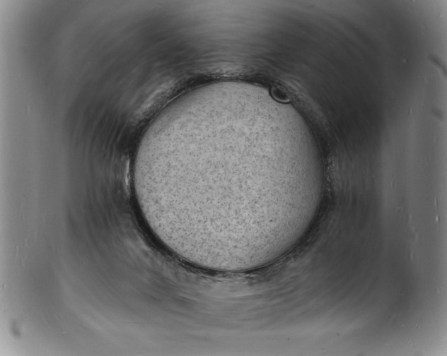 X0000102220024200808081326