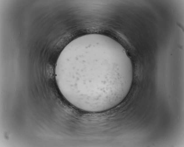 X0000102220025200808081326