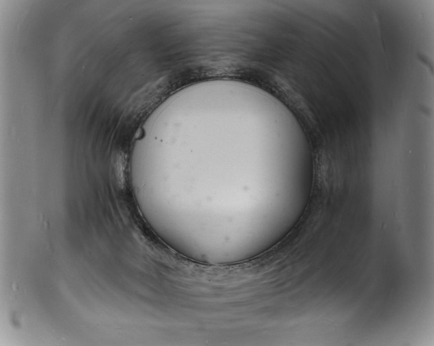 X0000102220026200808081326