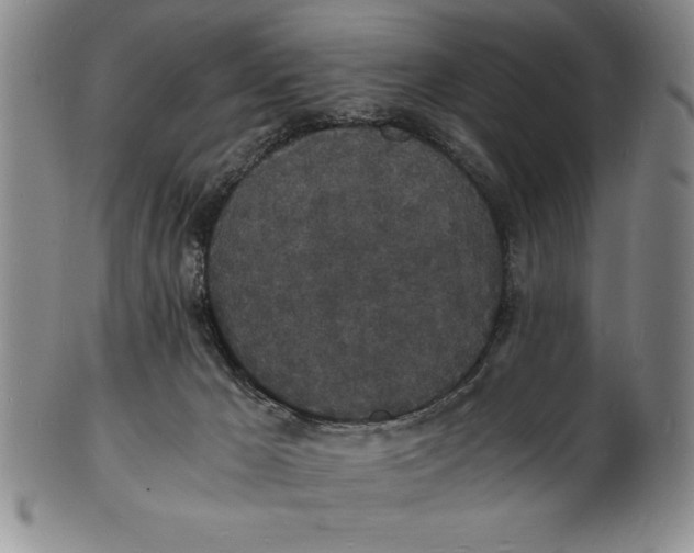 X0000102220029200808081326