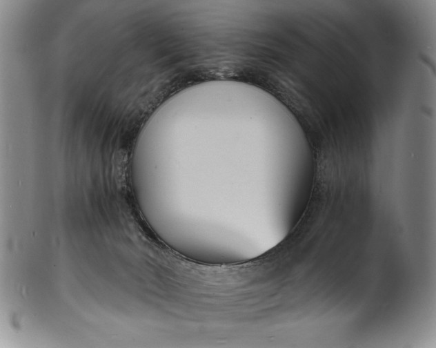 X0000102220030200808081326