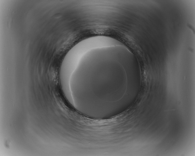 X0000102220031200808081326