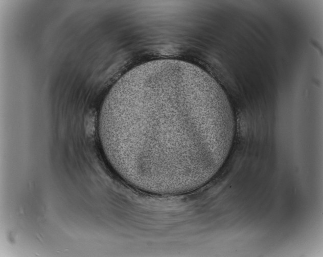 X0000102220032200808081326