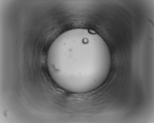 X0000102220033200808081326