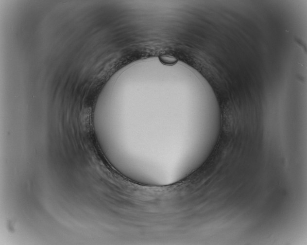 X0000102220034200808081326