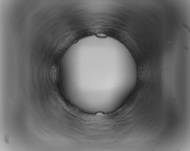 X0000102220036200808081326