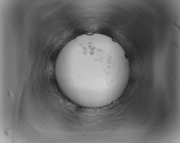 X0000102220037200808081326