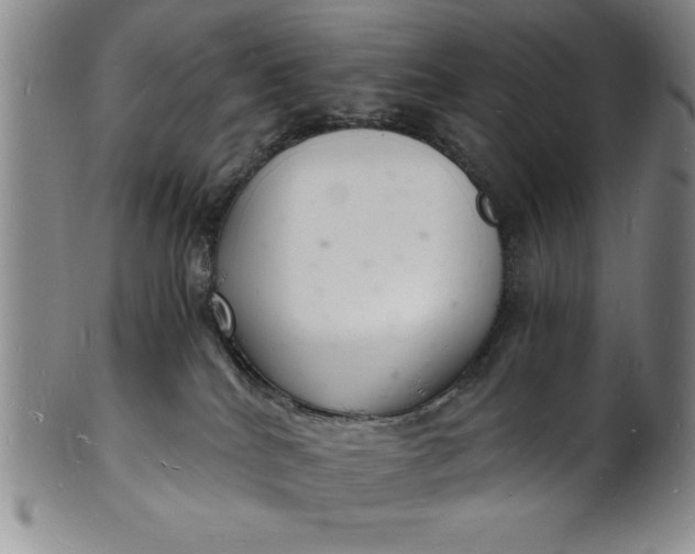 X0000102220040200808081326