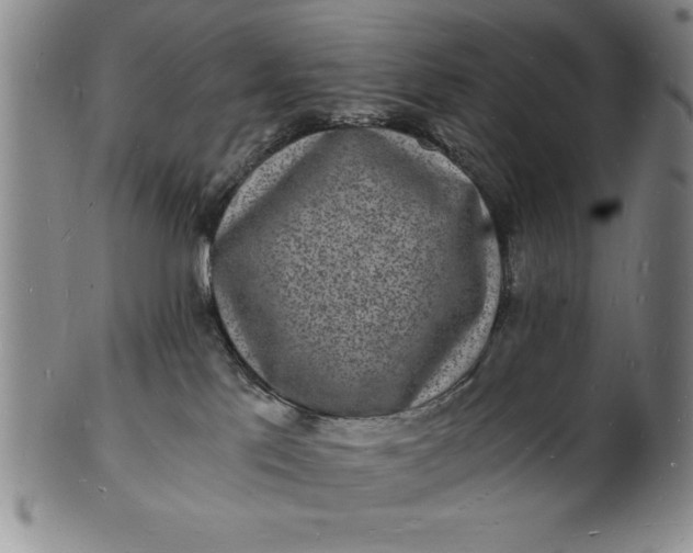 X0000102220041200808081326