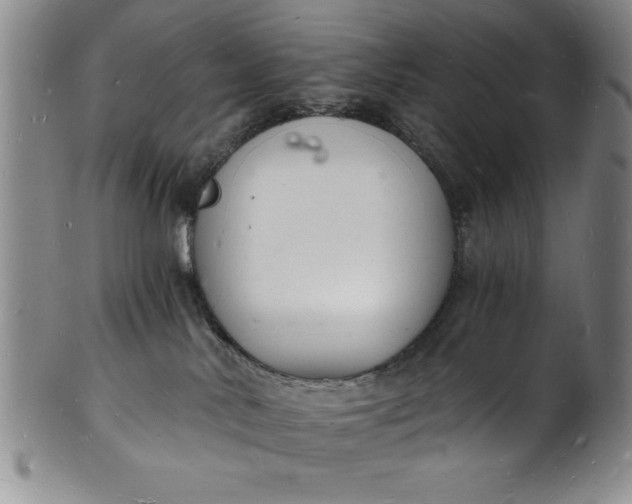 X0000102220042200808081326