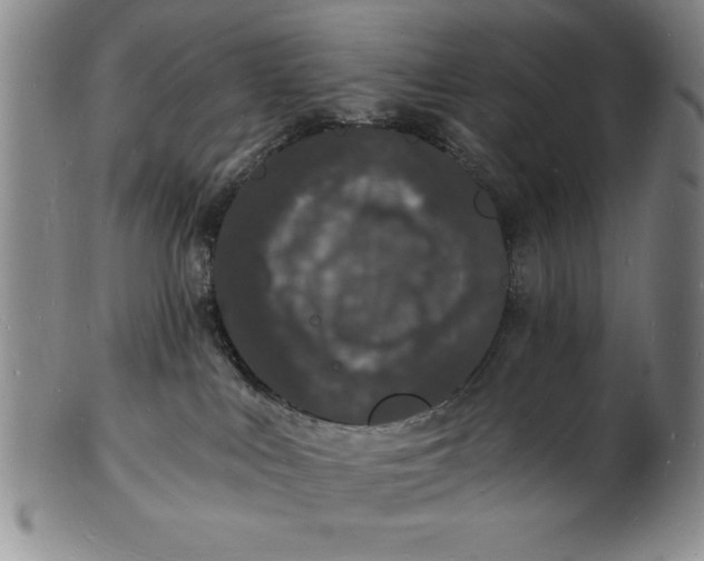 X0000102220043200808081326